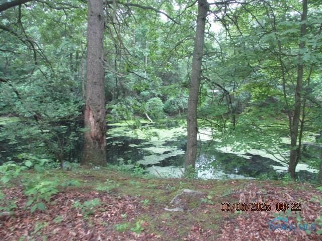 100 S Crissey Rd, Holland, OH 43528 - view of woods