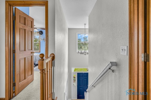 5872 Settlers Ridge Cir, Sylvania, OH 43560 - stairs with a textured wall, plenty of natural light, and carpet flooring