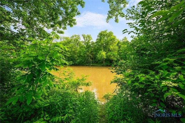 15146 W State Route 105, Elmore, OH 43416 - photo 44
