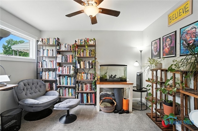 1022 Clough St, Bowling Green, OH 43402 - living area with ceiling fan