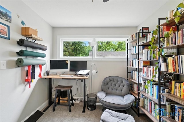 1022 Clough St, Bowling Green, OH 43402 - office area with carpet floors