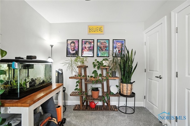 1022 Clough St, Bowling Green, OH 43402 - home office featuring carpet flooring