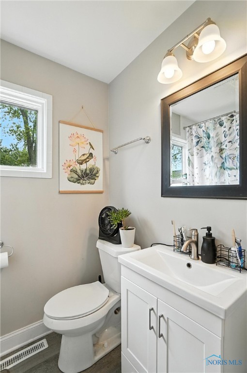 1022 Clough St, Bowling Green, OH 43402 - bathroom with vanity and plenty of natural light