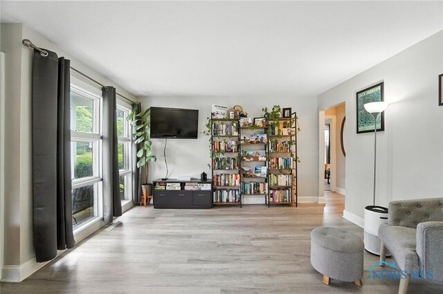 1022 Clough St, Bowling Green, OH 43402 - living area featuring light wood-style floors and baseboards