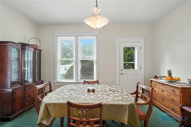 418 S Grove St, Bowling Green, OH 43402 - dining area featuring dark colored carpet