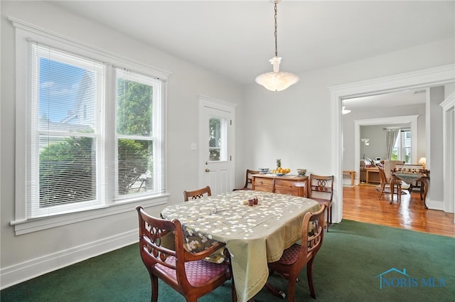 418 S Grove St, Bowling Green, OH 43402 - dining area featuring carpet floors and plenty of natural light