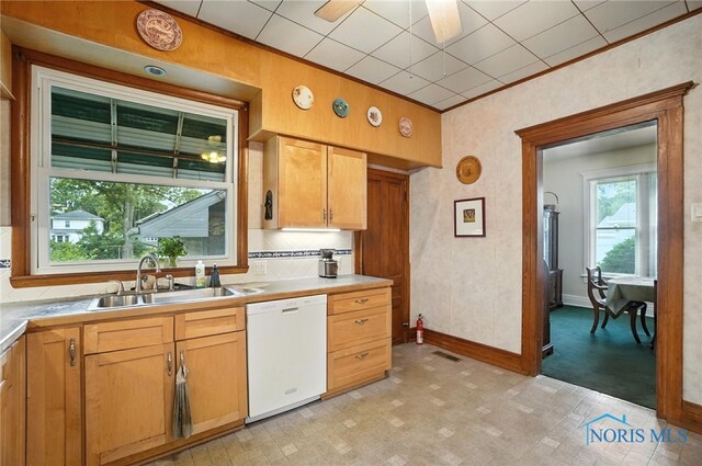 418 S Grove St, Bowling Green, OH 43402 - kitchen featuring dishwasher, crown molding, and light countertops