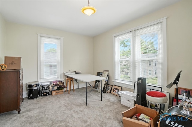 418 S Grove St, Bowling Green, OH 43402 - office area featuring plenty of natural light and carpet flooring