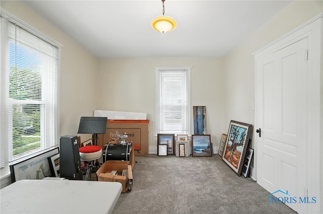 418 S Grove St, Bowling Green, OH 43402 - game room featuring carpet floors and baseboards