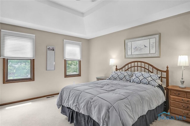 7040 Country Creek Rd, Maumee, OH 43537 - carpeted bedroom featuring baseboards and a tray ceiling