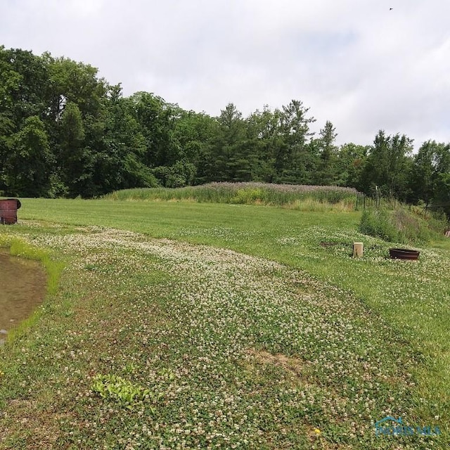 17086 Harris Rd, Defiance, OH 43512 - photo 11