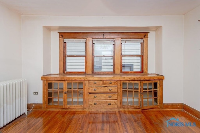 433 Islington St, Toledo, OH 43610 - detailed view of radiator heating unit and wood finished floors