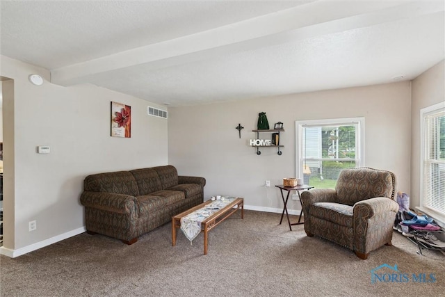 422 Eben Ave, Findlay, OH 45840 - living area with carpet flooring