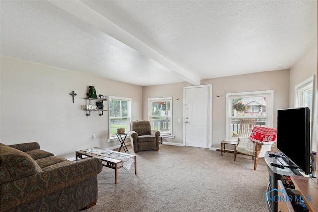422 Eben Ave, Findlay, OH 45840 - carpeted living area with a textured ceiling, plenty of natural light, and beam ceiling