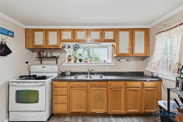 422 Eben Ave, Findlay, OH 45840 - kitchen featuring white range with electric cooktop, ornamental molding, brown cabinetry, glass insert cabinets, and dark countertops
