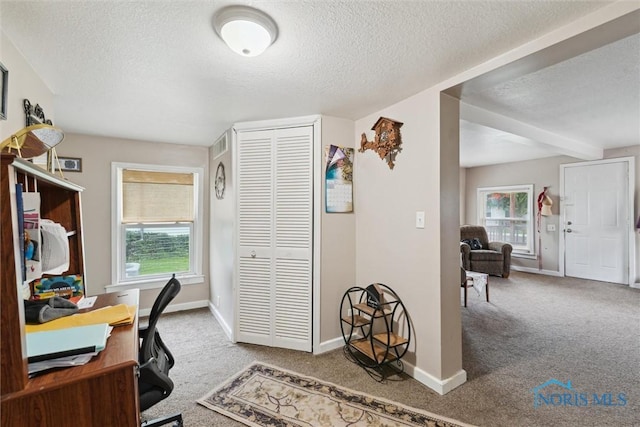 422 Eben Ave, Findlay, OH 45840 - office area featuring carpet flooring, a textured ceiling, and plenty of natural light