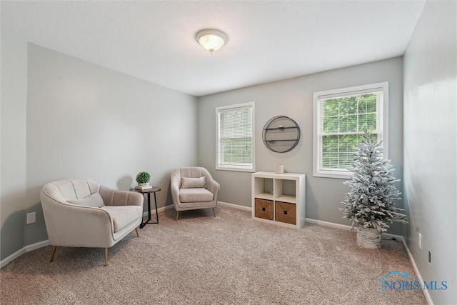 8131 Erie St, Sylvania, OH 43560 - photo 30