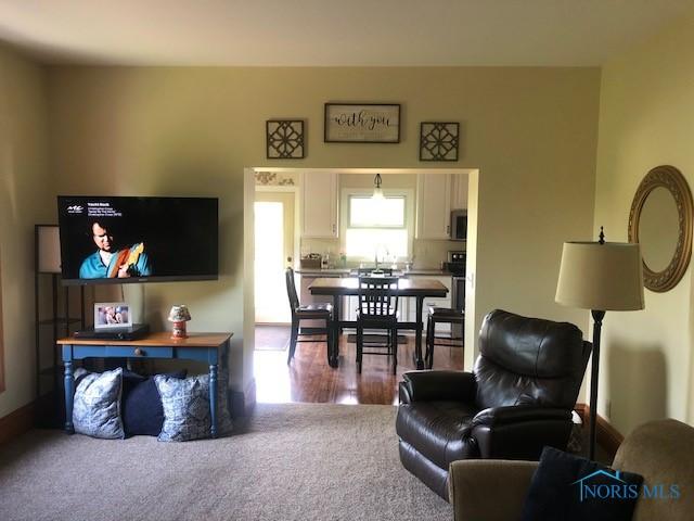 509 Washington St, Republic, OH 44854 - photo 34