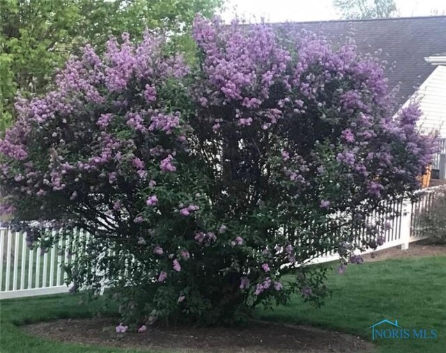 509 Washington St, Republic, OH 44854 - photo 14