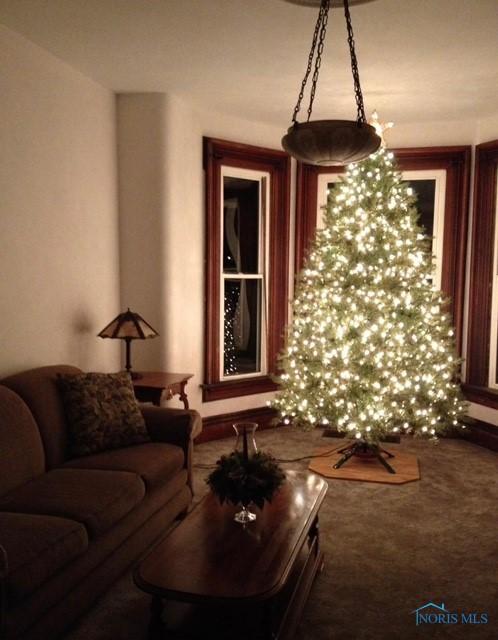 509 Washington St, Republic, OH 44854 - photo 27