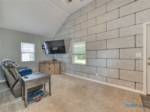 5161 Langham Dr, Sylvania, OH 43560 - living area with lofted ceiling and carpet