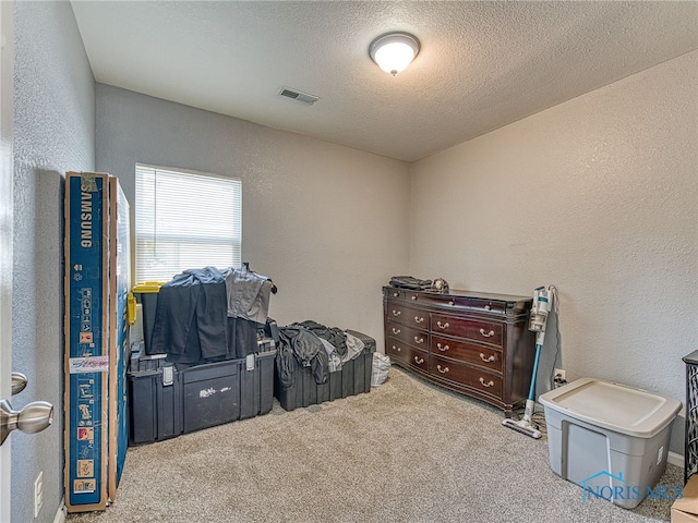 5161 Langham Dr, Sylvania, OH 43560 - playroom featuring carpet flooring, a textured wall, and a textured ceiling