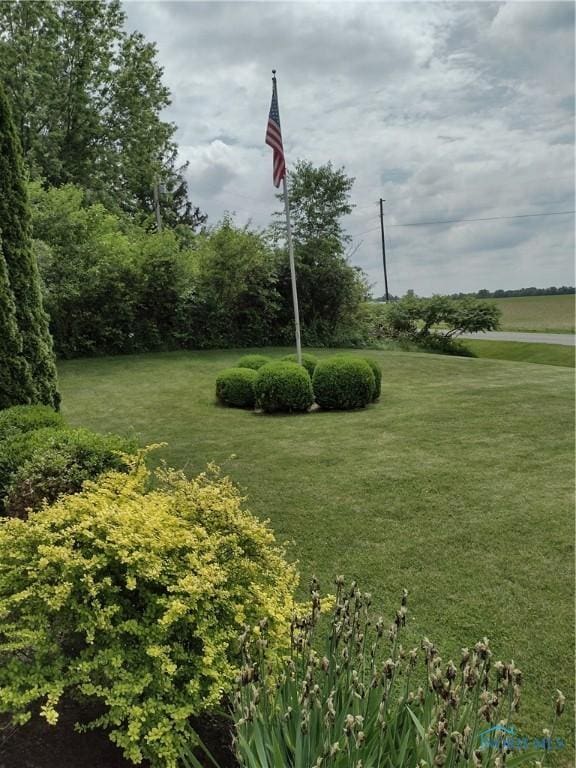 11550 County Road 26th 1, Fayette, OH 43521 - view of grassy yard