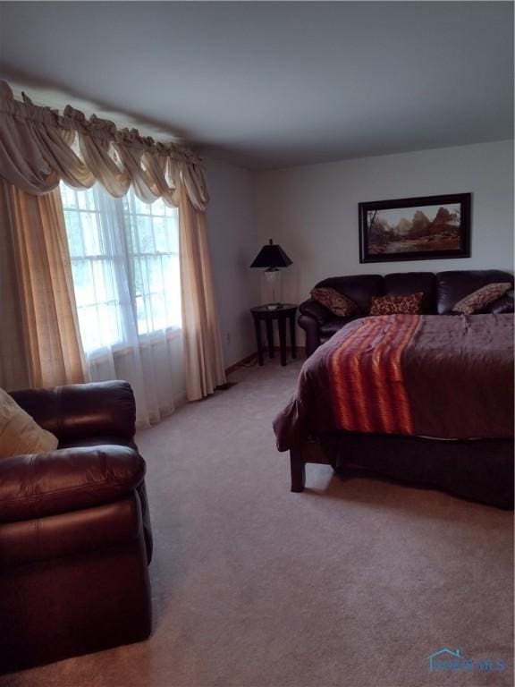 11550 County Road 26th 1, Fayette, OH 43521 - view of carpeted bedroom