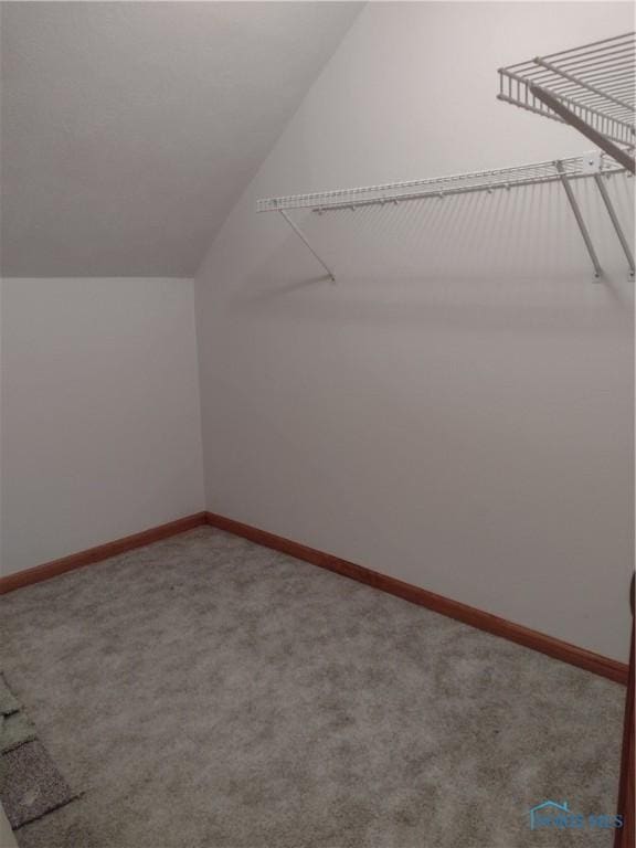 11550 County Road 26th 1, Fayette, OH 43521 - spacious closet with vaulted ceiling and carpet flooring