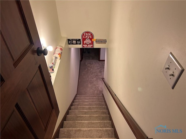 2440 Bluestone Dr, Findlay, OH 45840 - staircase with carpet
