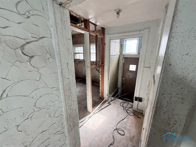 1534 Indiana Ave, Toledo, OH 43607 - entryway featuring healthy amount of natural light