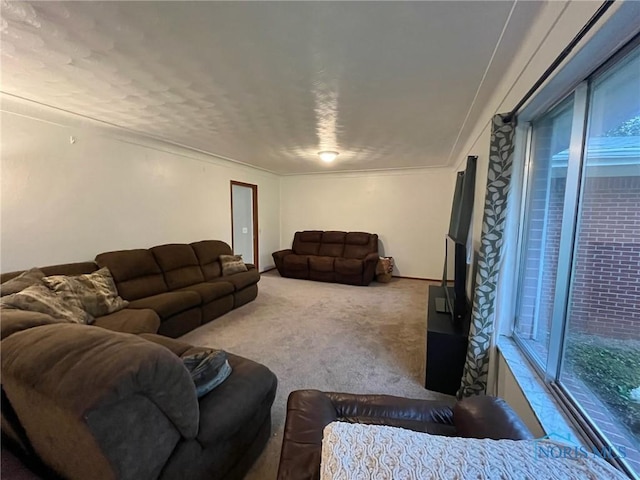 4409 Merry Ln, Toledo, OH 43615 - view of carpeted living area