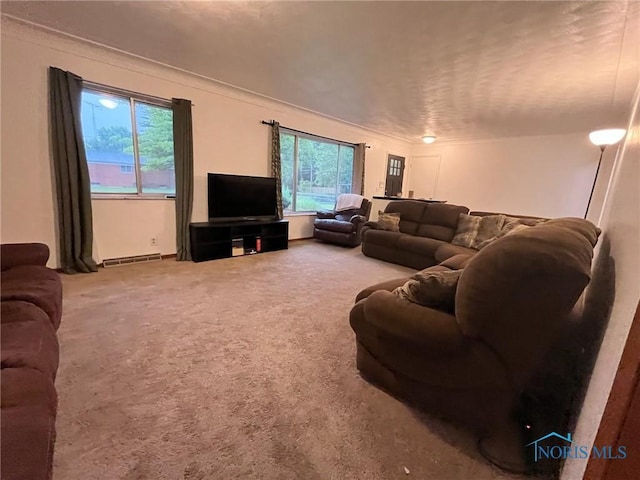 4409 Merry Ln, Toledo, OH 43615 - view of carpeted living room