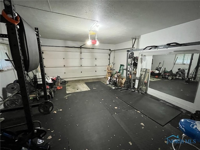 4409 Merry Ln, Toledo, OH 43615 - garage featuring a garage door opener