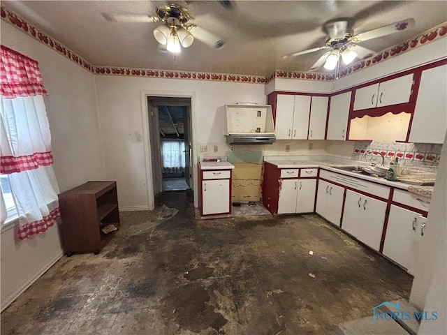 6913 Brint Rd, Sylvania, OH 43560 - kitchen with a ceiling fan, plenty of natural light, and light countertops