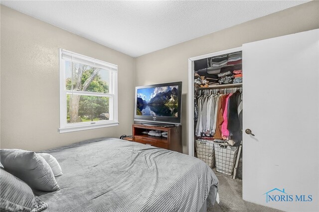 616 Normandie Blvd, Bowling Green, OH 43402 - bedroom with a closet and carpet floors