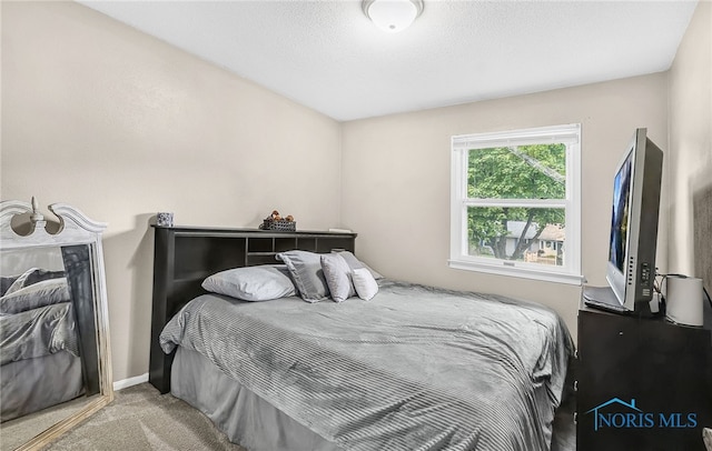 616 Normandie Blvd, Bowling Green, OH 43402 - carpeted bedroom with baseboards
