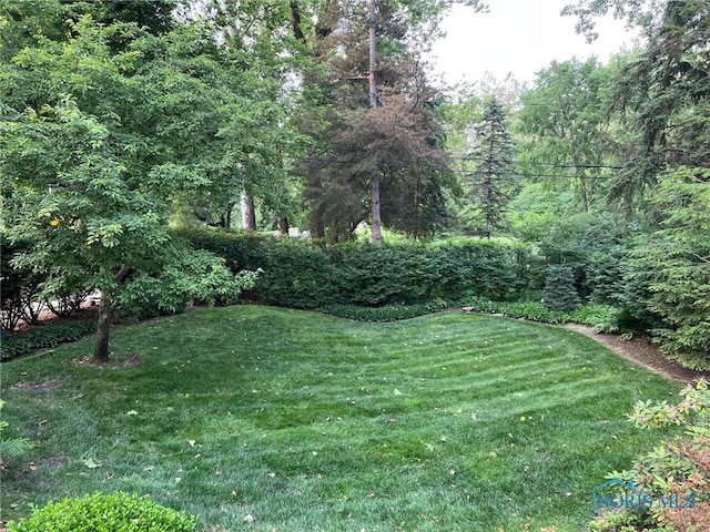 3998 W Bancroft St, Ottawa Hills, OH 43606 - view of green lawn