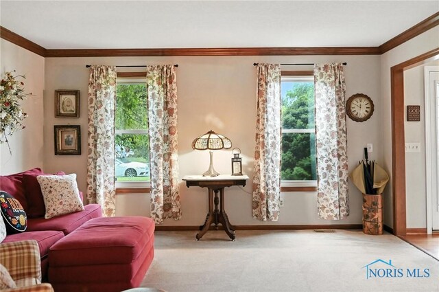 1207 Sandy Glen Dr, Perrysburg, OH 43551 - photo 12