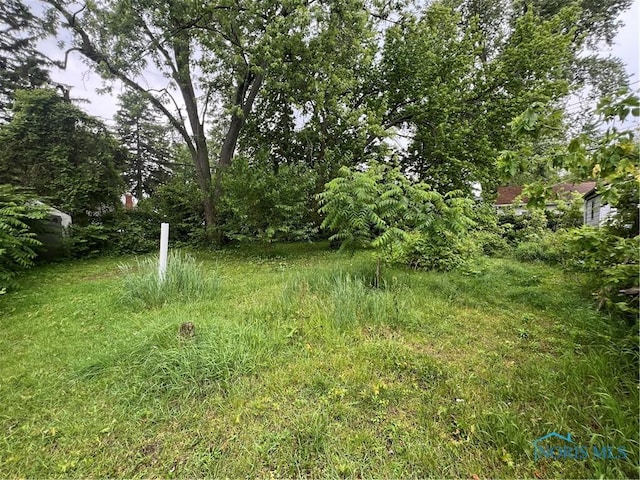 2017 Newport Ave, Toledo, OH 43613 - view of yard