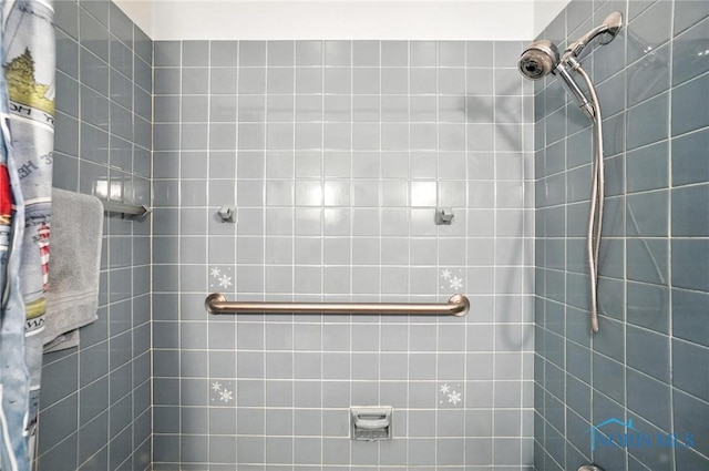 2632 117th St, Toledo, OH 43611 - bathroom featuring tiled shower