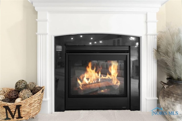 4825 Sylvan Prairie Ct, Sylvania, OH 43560 - detailed view of a glass covered fireplace