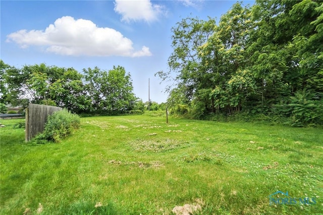 407 Washington St, Findlay, OH 45840 - view of yard