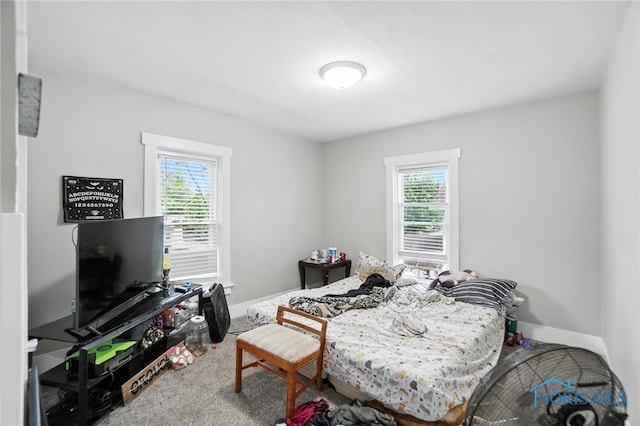 407 Washington St, Findlay, OH 45840 - carpeted bedroom featuring multiple windows