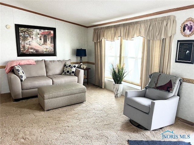 120 E Nicholas St, Arlington, OH 45814 - living area featuring ornamental molding, a textured ceiling, and carpet floors