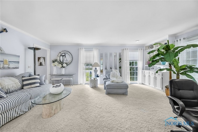 772 Fairway Ln, Wauseon, OH 43567 - living room featuring crown molding and carpet flooring