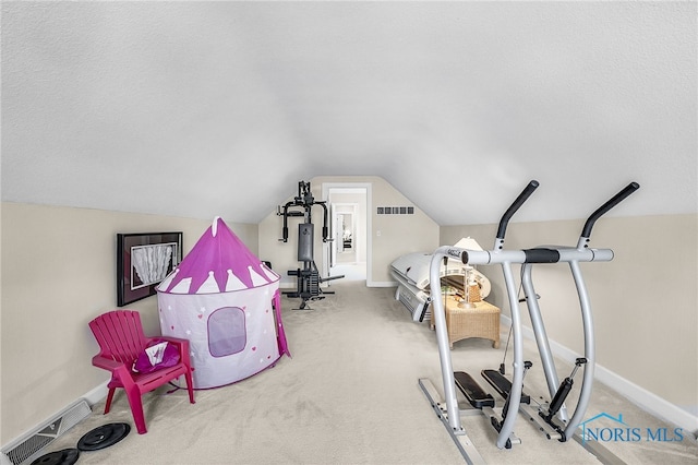 772 Fairway Ln, Wauseon, OH 43567 - exercise area with lofted ceiling and carpet