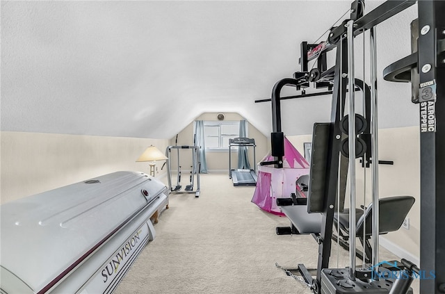 772 Fairway Ln, Wauseon, OH 43567 - exercise room featuring lofted ceiling and carpet