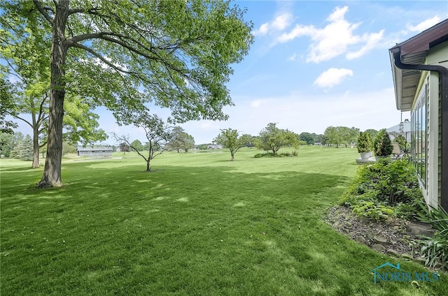 772 Fairway Ln, Wauseon, OH 43567 - view of grassy yard