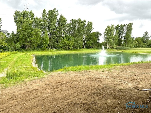 7811 Sonoma Dr, Monclova, OH 43542 - water view